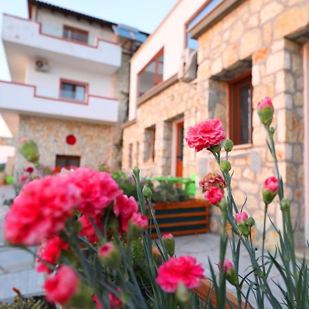 Vila Dena Vlorë Exteriör bild