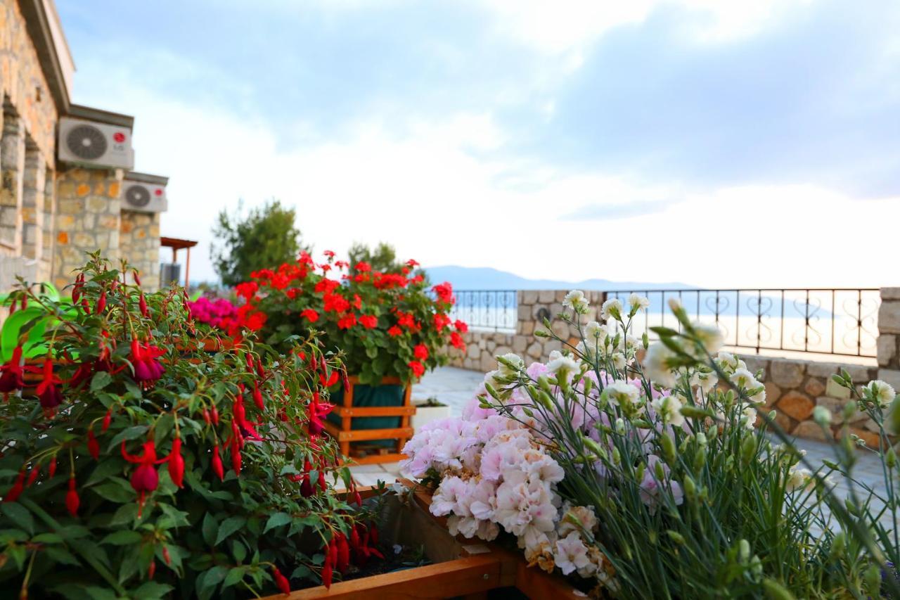 Vila Dena Vlorë Exteriör bild