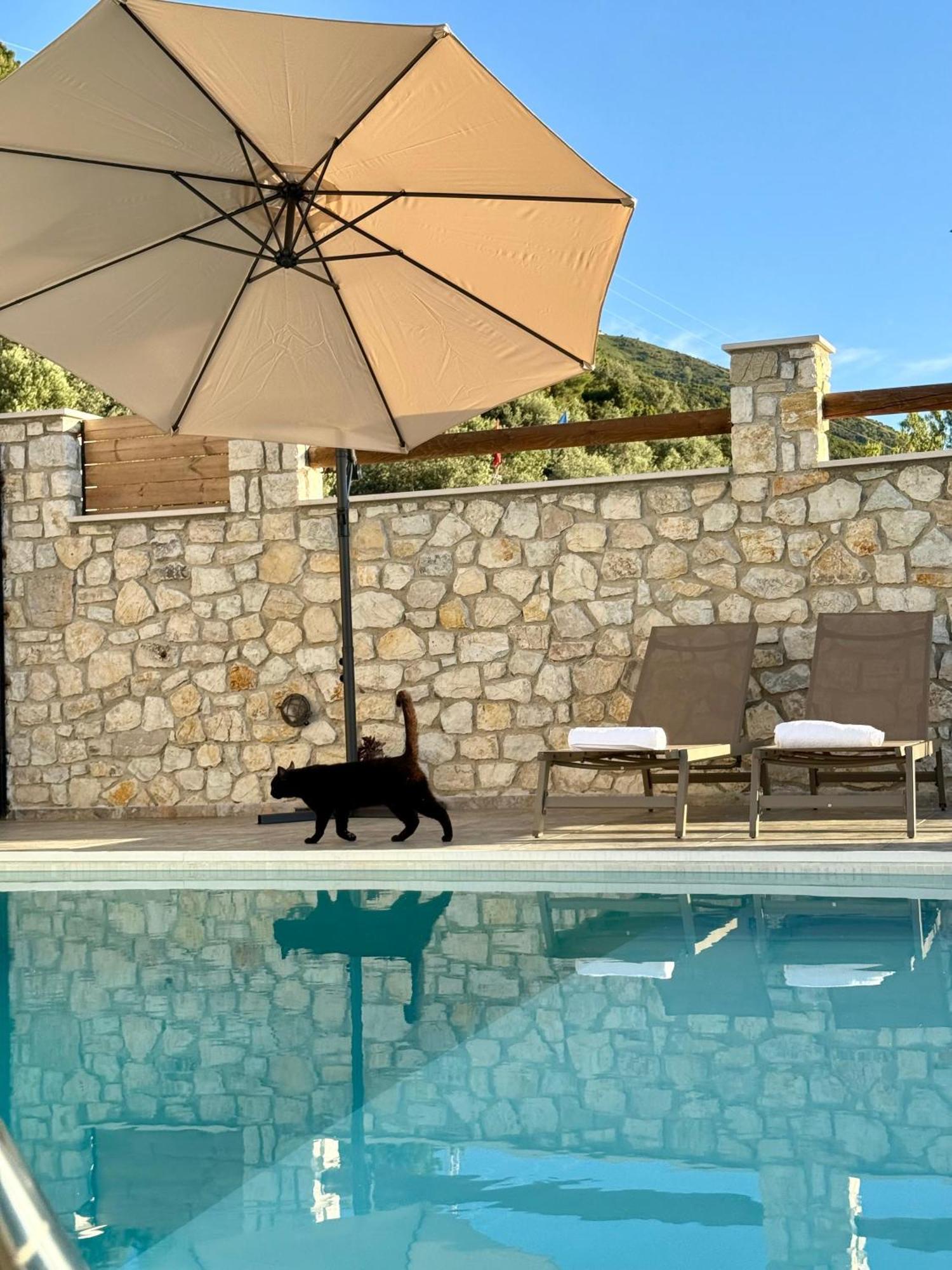 Vila Dena Vlorë Exteriör bild
